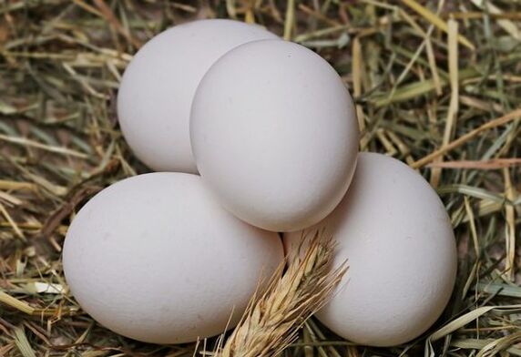 Яєчна дієта передбачає щоденне вживання курячих яєць. 
